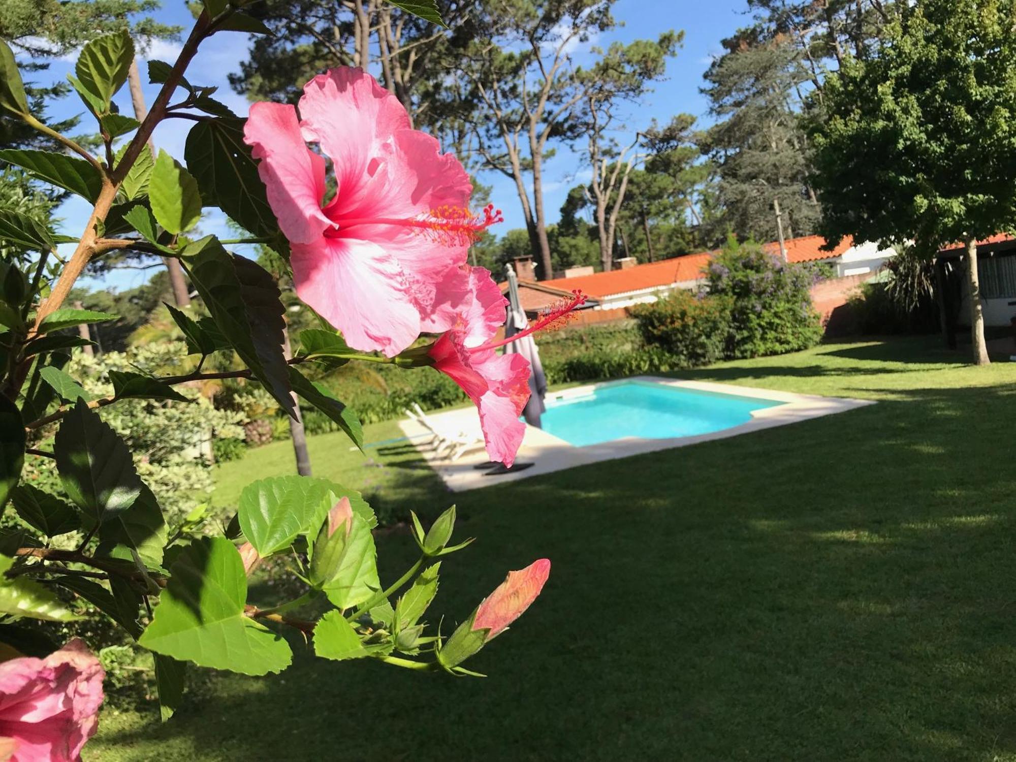 El Gauchito Villa Punta del Este Eksteriør billede